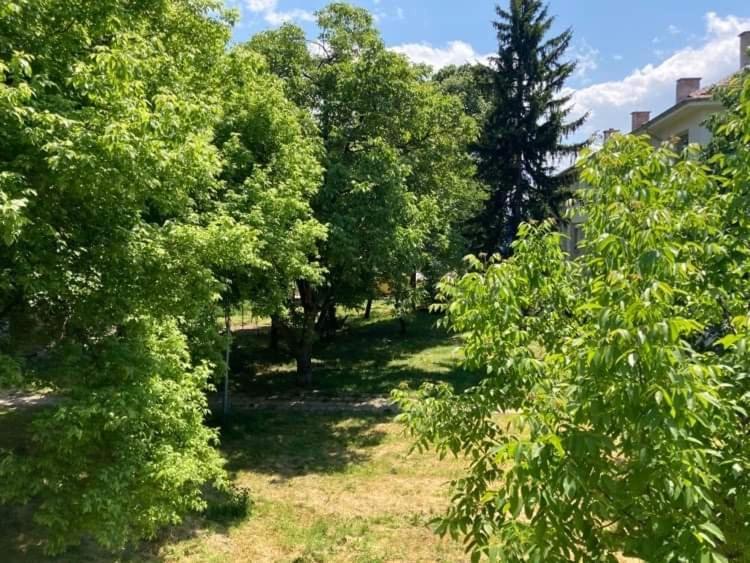 Apartamenti Art Uut 3 I Art Uut 4 Lägenhet Plovdiv Exteriör bild